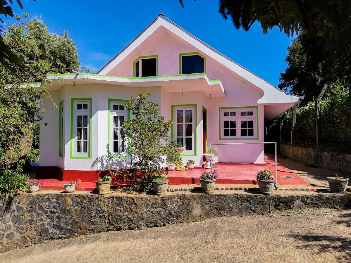 Nuwara Eliya Mountain View Homestay المظهر الخارجي الصورة