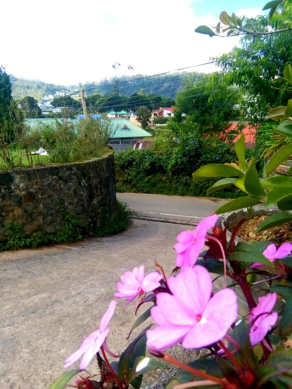 Nuwara Eliya Mountain View Homestay المظهر الخارجي الصورة