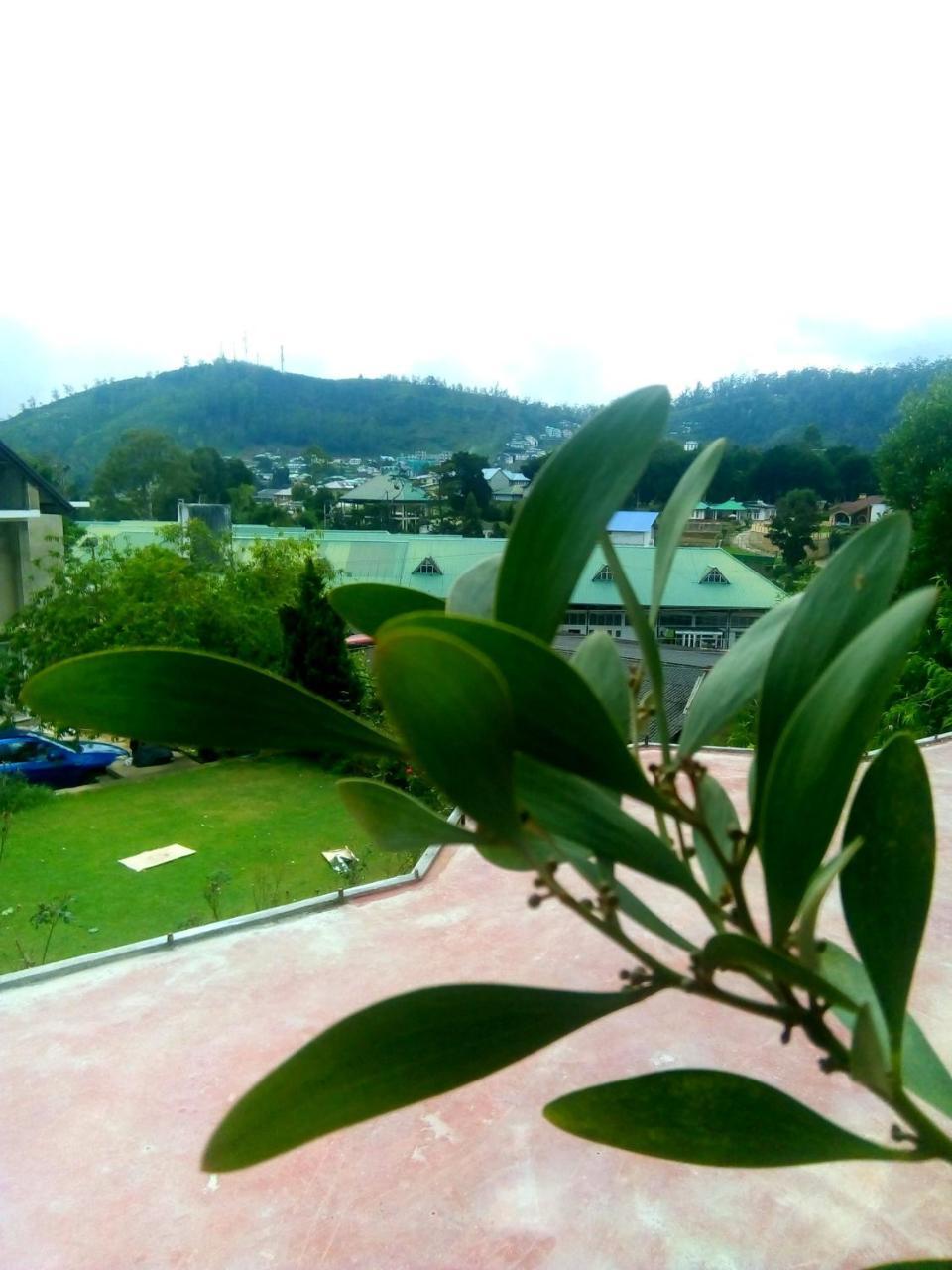 Nuwara Eliya Mountain View Homestay المظهر الخارجي الصورة