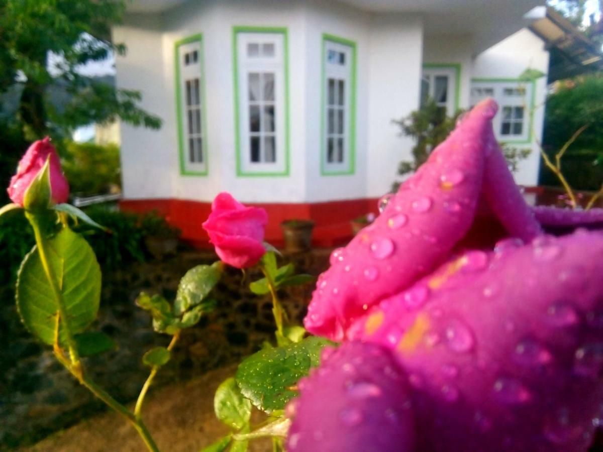 Nuwara Eliya Mountain View Homestay المظهر الخارجي الصورة