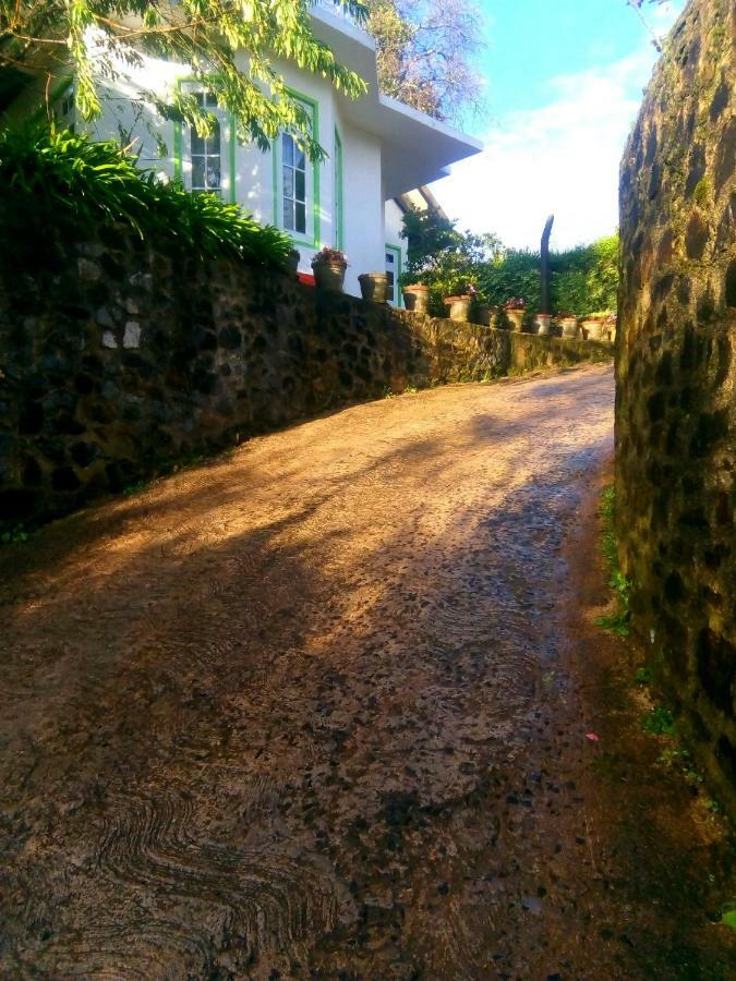 Nuwara Eliya Mountain View Homestay المظهر الخارجي الصورة